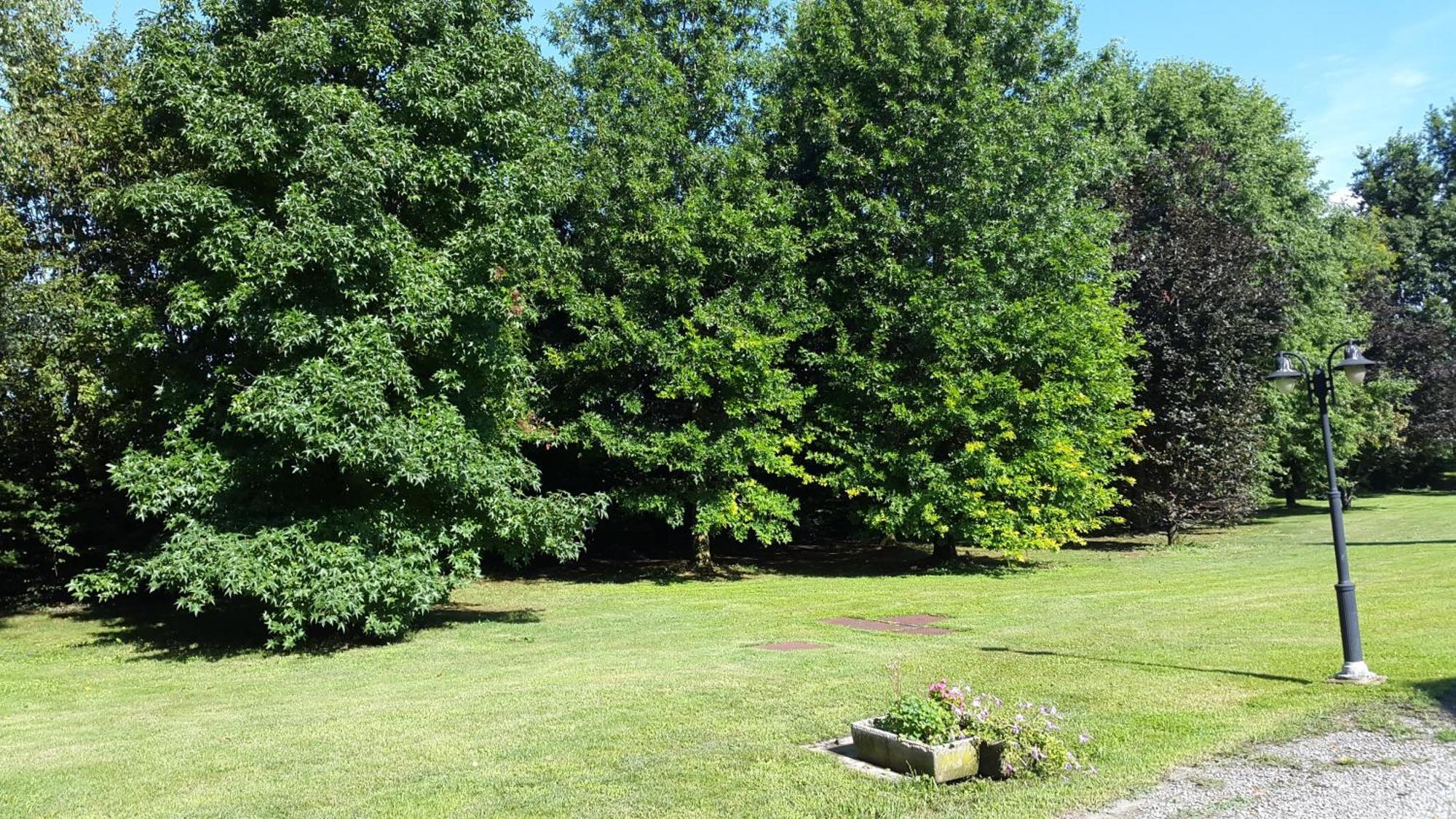 B&B Villa Melograno Pontoglio Exteriör bild